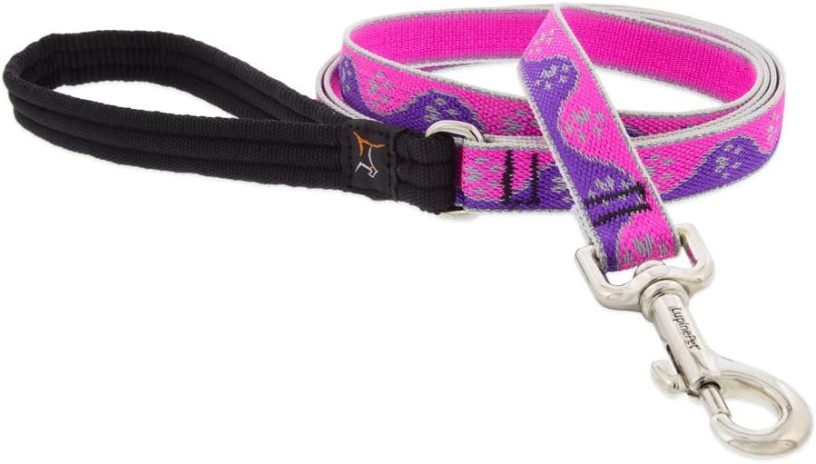 Lupine Reflective Dog Leash 6-Foot by 3/4″ Wide Pink Paws