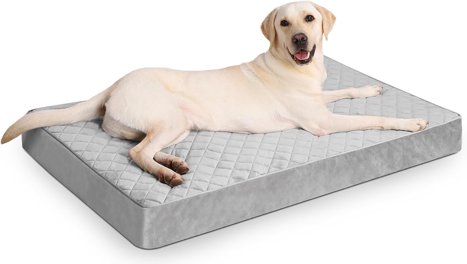 NUPIDA Orthopedic Dog Beds for Extra Large Dogs Waterproof with Removable Washable Cover and Non-Slip Bottom, 47×29 Inch, Light Gray