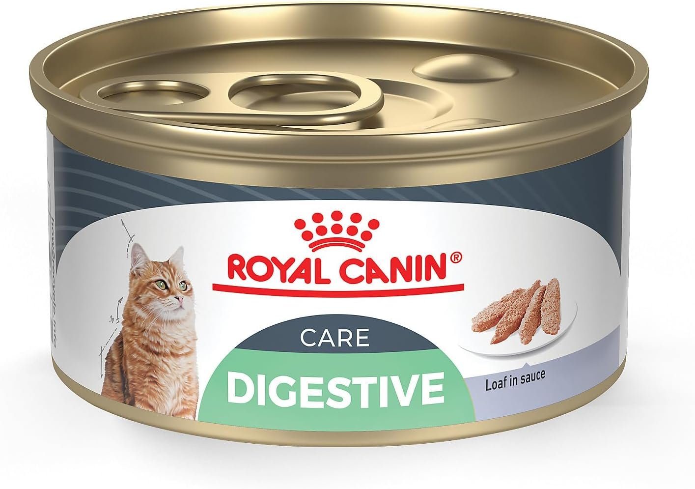 Royal Canin Feline Care Nutrition Digestive Care Adult Loaf in Sauce Cat Food, 3 oz (Pack of 24)