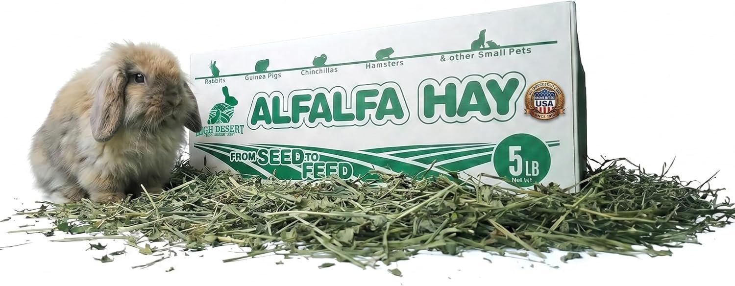 High Desert Alfalfa Hay, Protein Rich Soft Leaf Food for Young Growing Animals, Natural Rabbit Food and Guinea Pig Hay, Supports Digestive Health, Small Pet Supplies, Fresh Hand Packed 5 Lb Box