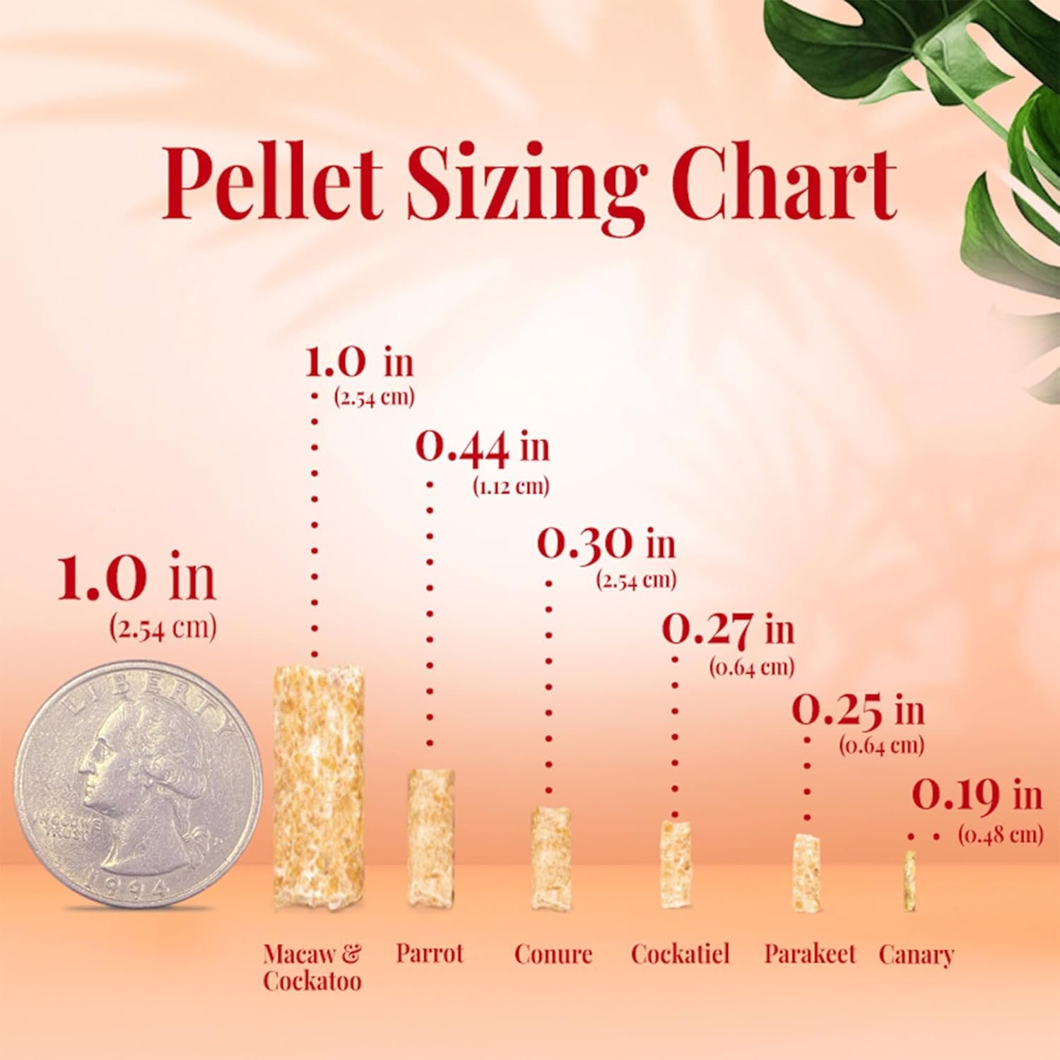 LAFEBER’S Cockatiel Pellets (1.25 lb (Pack of 2), Tropical Fruit Pellets)