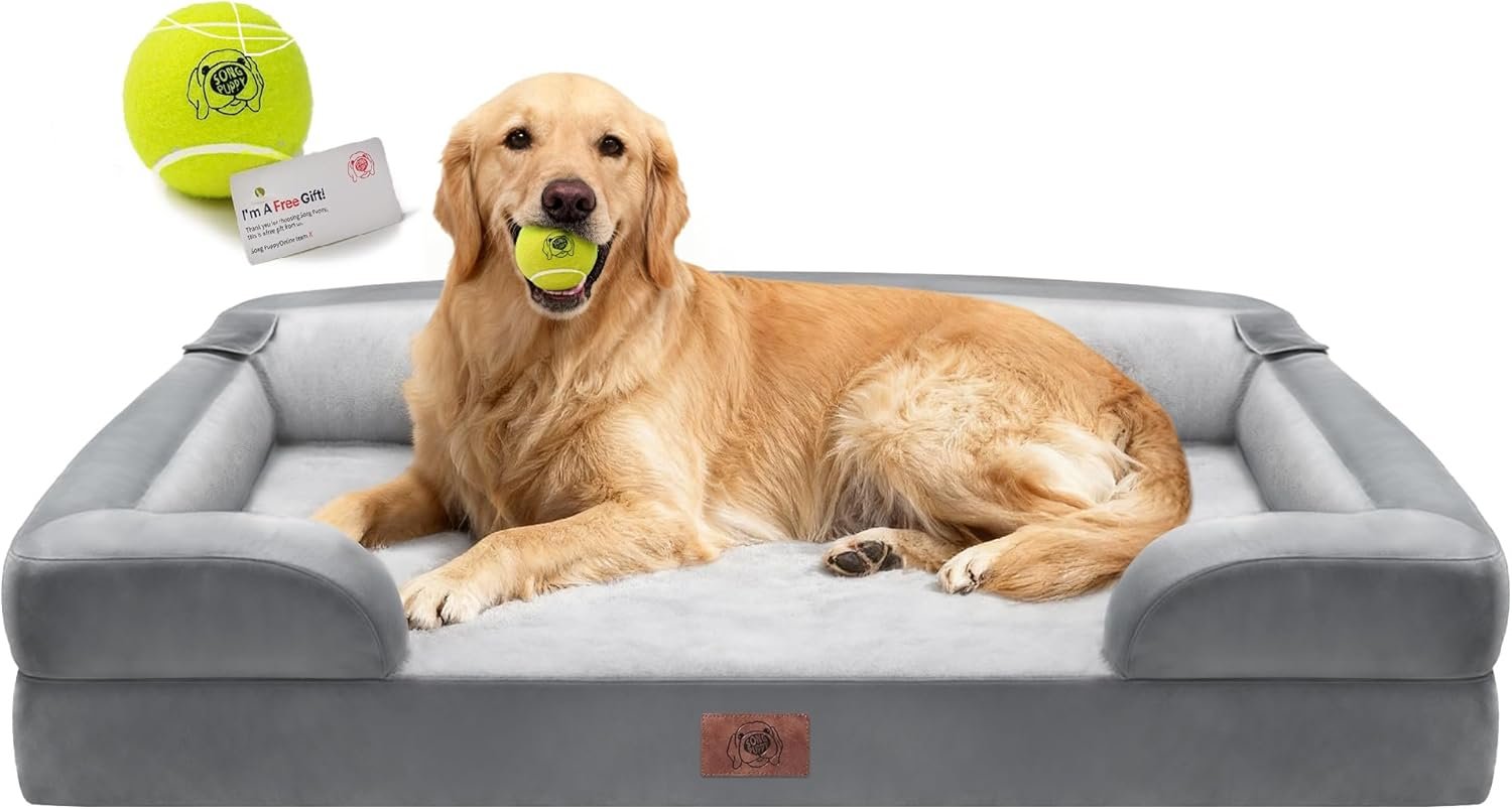 Extra Large Dog Bed, Orthopedic XL Washable Memory Foam Bed for Big Dogs Waterproof Pet Couch Sofa Bolster with Removable Cover, Non-Slip Bottom, Tennis Ball Toy, 42×30