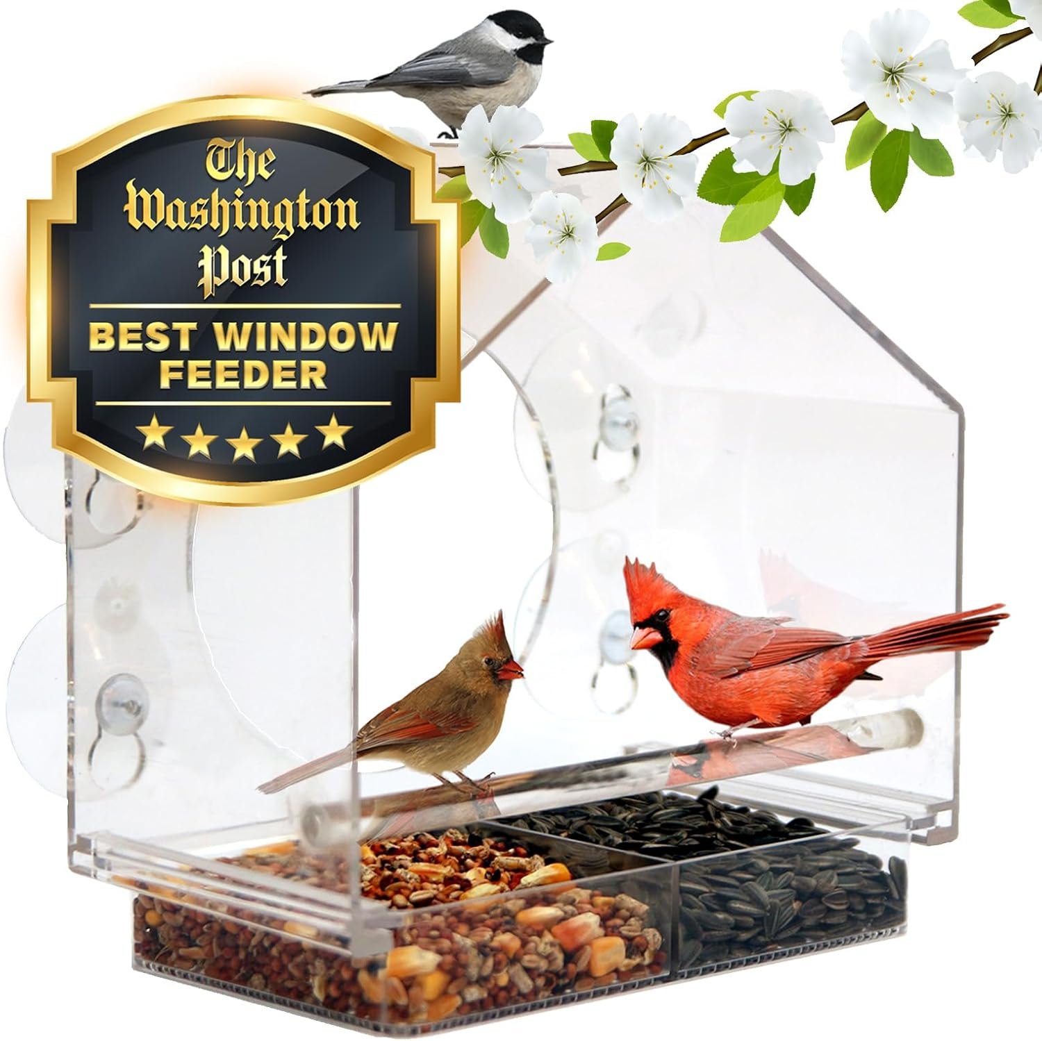 Nature Anywhere Window Bird Feeder – Weather Proof Transparent Acrylic Bird Feeders for Outdoors – Enhanced Suction Grip, Bird Watching for Cats, Easy-to-Clean, Outdoor Birdhouse Feeder (1 Unit)