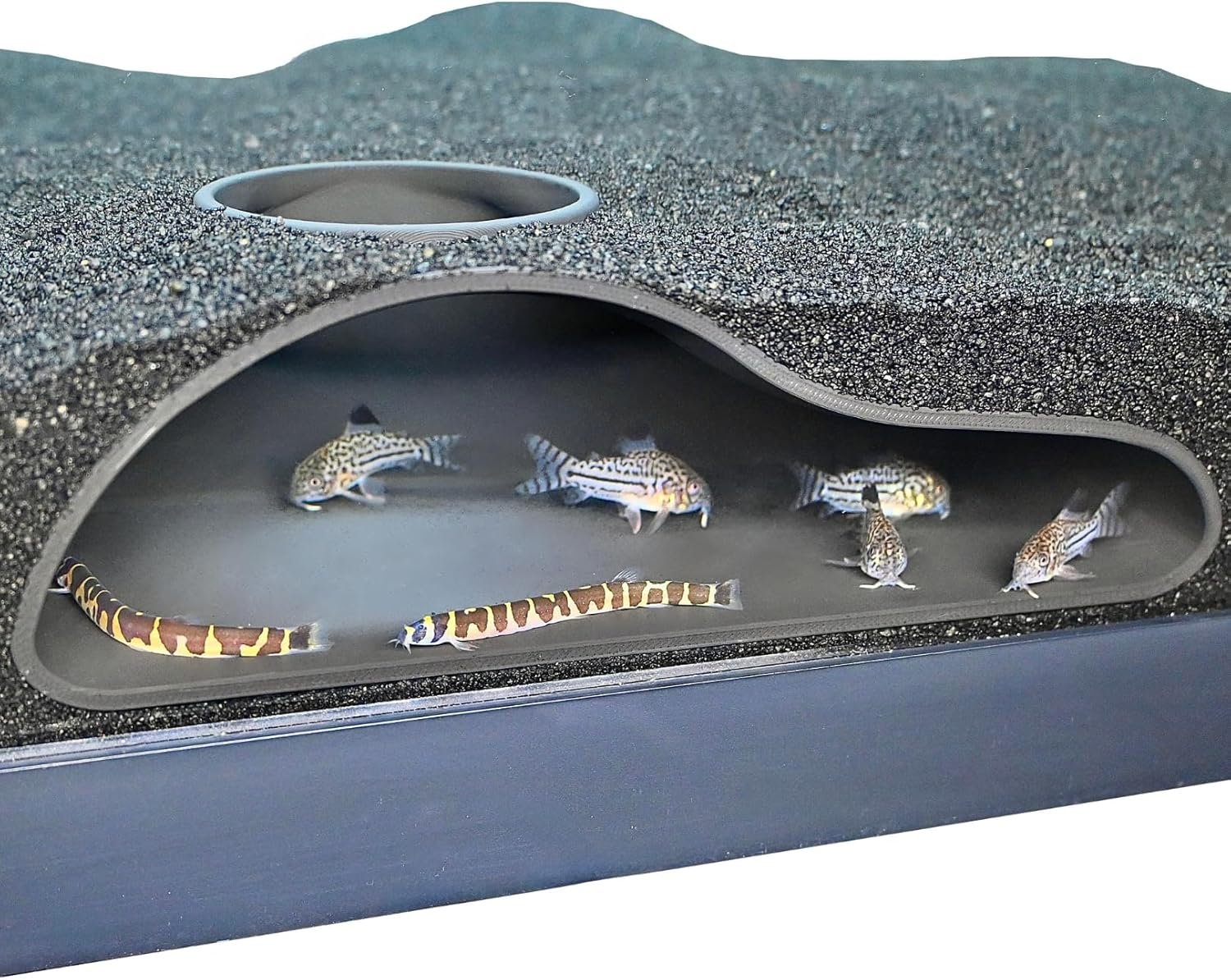 Lucky Critter Aquarium Underground Tunnel Cave Natural Curve | Viewing Fish & Shrimp Under Gravel Tunnel | Fish Tank Decor Decoration Hideout Perfect for Corydora Catfish, Kuhli Loach, Pleco