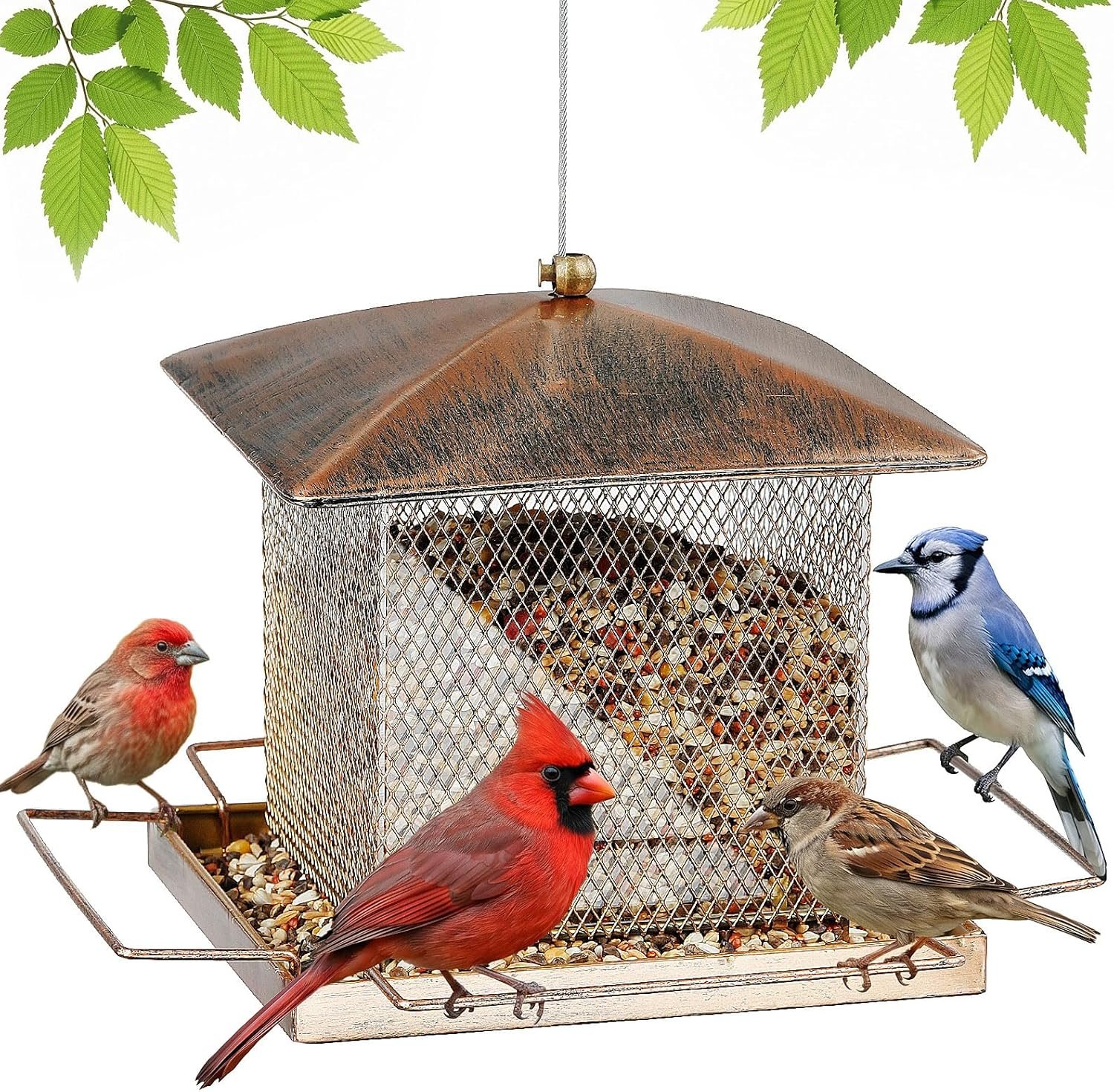 Bird Feeder, Heavy Duty Metal Bird Feeders for Outdoor Hanging, Waterproof Wild Birdfeeder for Garden Yard Outside Backyard, 3.5LB Large Capacity