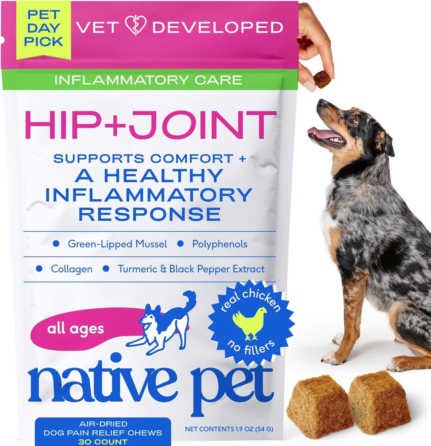 Native Pet Inflammatory Care – Pain Relief for Dogs – Green-Lipped Mussel, Turmeric & Collagen for Dogs – Hip and Joint Supplement Supports Healthy Inflammatory Response & Joint Comfort – 30 Chews