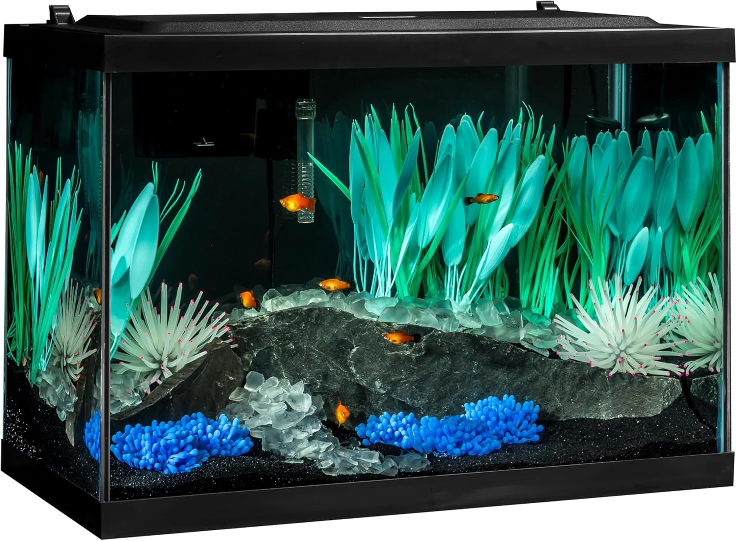 Tetra ColorFusion Aquarium 20 Gallon Fish Tank Kit, Includes LED Lighting and Decor