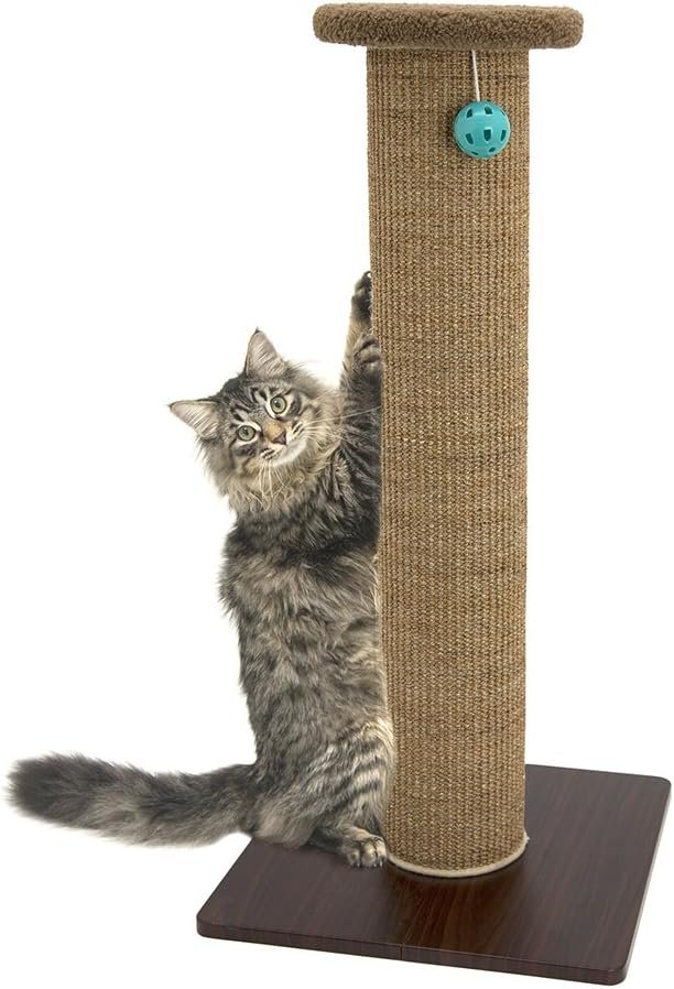 Kitty City Tall Sisal Cat Scratching Post, 32” Durable Scratcher with Sturdy Base & Hanging Jingle Toy, Easy Assembly, Furniture Protection for Indoor Cats – Brown