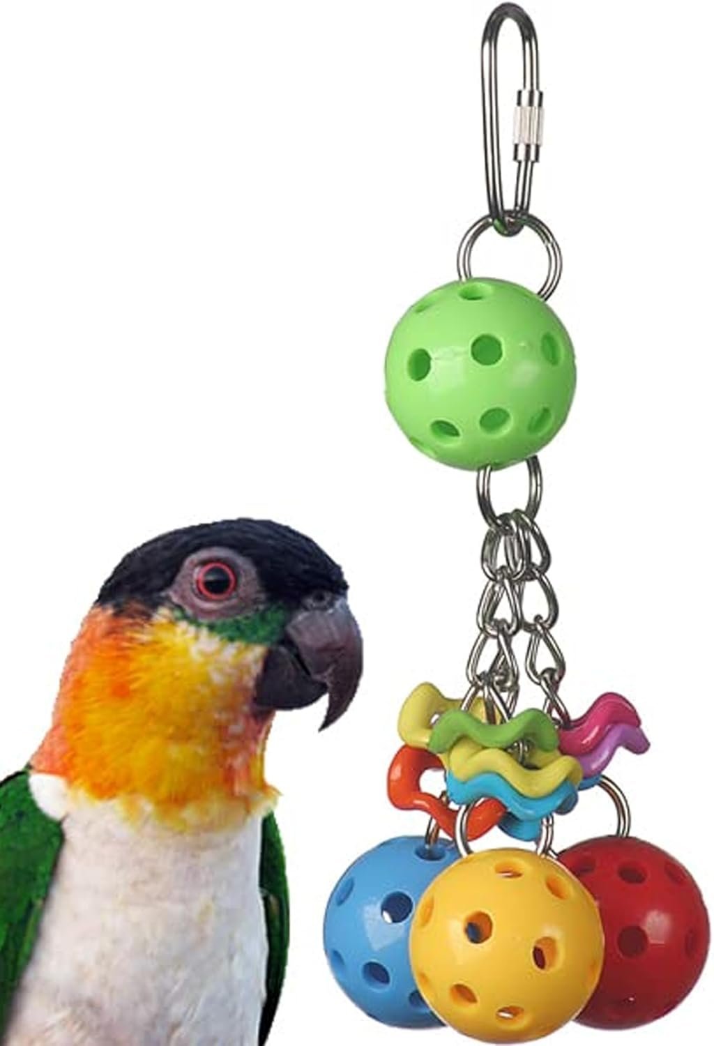 Super Bird Creations SB1093 Jingleberries Bird Toy – Colorful Plastic Toy Balls with Bells for Small/Medium Birds – Parrotlets Parakeets Cockatiels – Encourage Beak Health & Dexterity – 6″x 2.5″x 2.5″