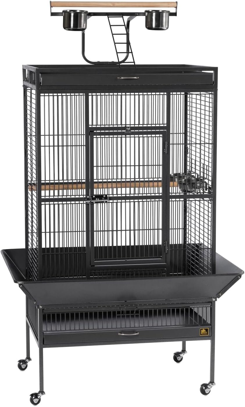 Prevue Hendryx Signature Select Series Wrought Iron Bird Cage in Black