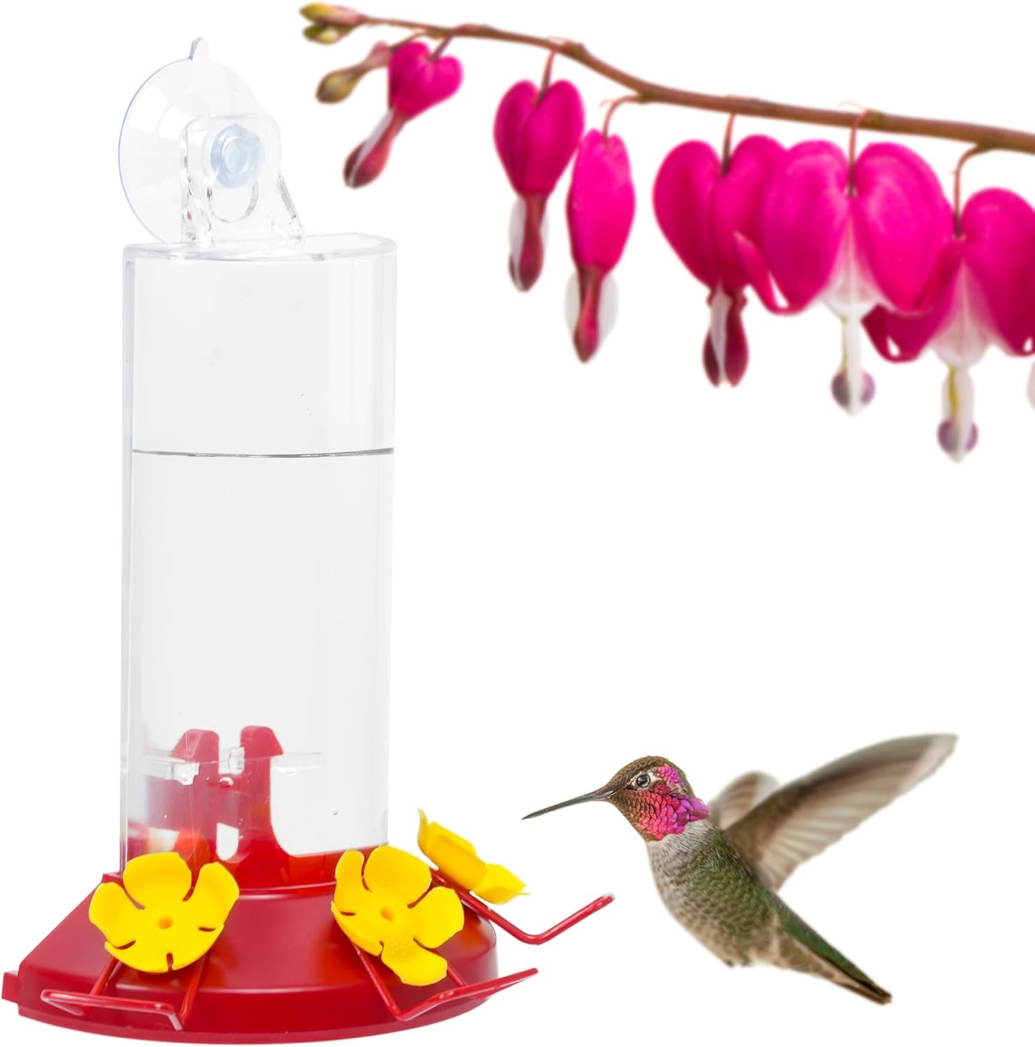 Perky-Pet Plastic Window Mount Hummingbird Feeder with Perches – 8 oz Hummingbird Nectar Capacity, 217 – Hummingbird feeders for outdoors