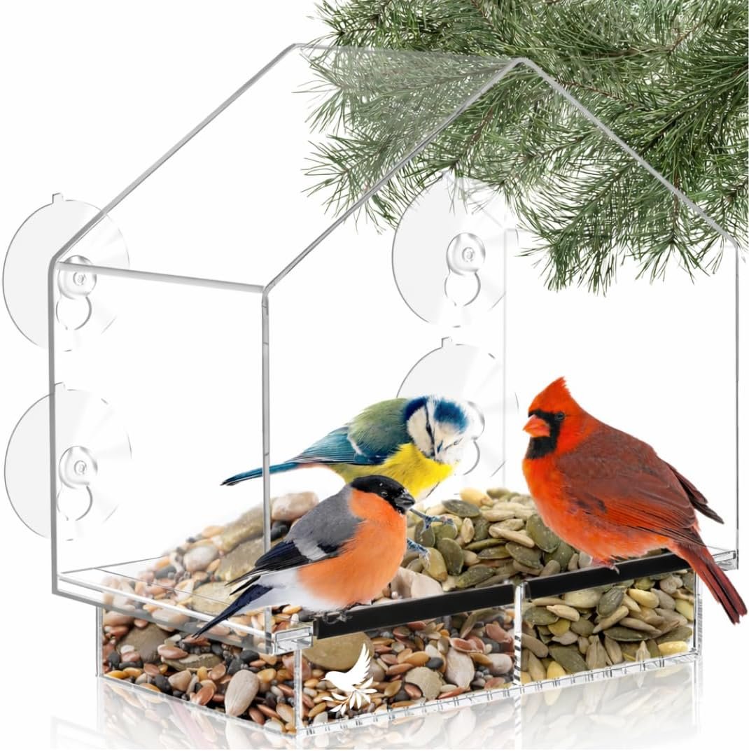 Window Bird Feeder with Strong Suction Cups, Clear Window Feeders for Outside – Transparent Bird House, Balcony Glass Mount, Acrylic Cat, Kids & Elderly Viewing