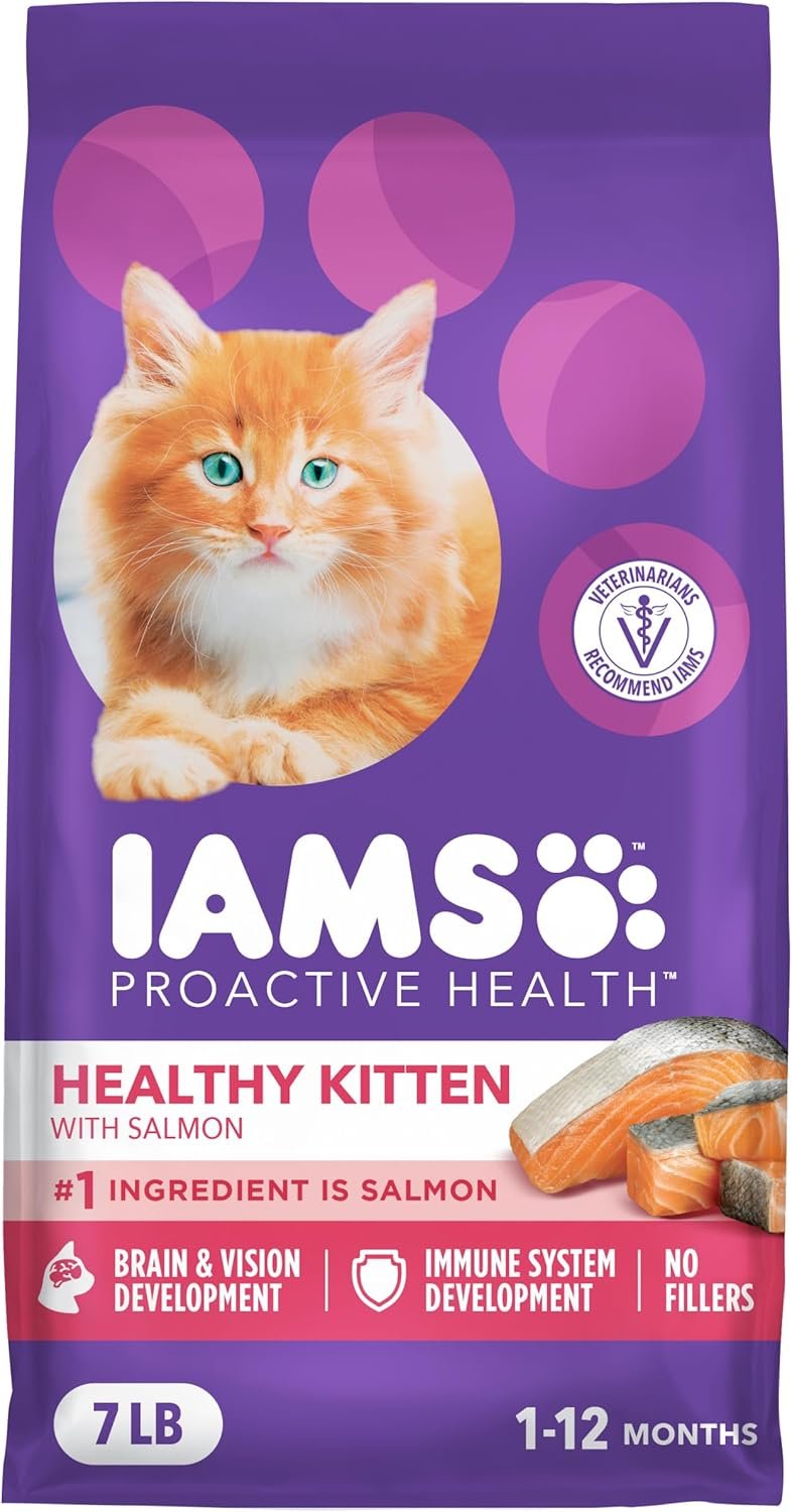 IAMS Proactive Health Healthy Kitten Dry Cat Food Salmon Recipe, 7 lb. Bag