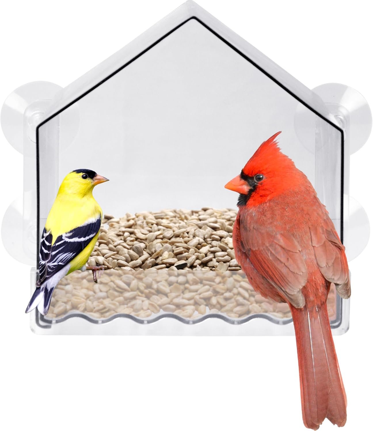 Nature’s Way Crystal Window Seed Feeder with 4 Secure Suction Cup Mount, Clear 2-Cup Capacity Hanging Bird Feeder for Close-Up Viewing, 6.5″