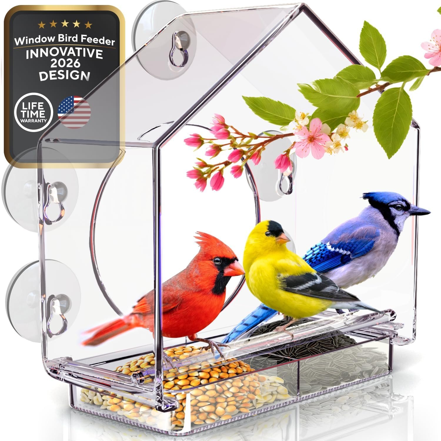 Premium Window Bird Feeder for Outside – Clear Bird House w/Largest Window for Viewing Birds – Easy to Install & Sturdy Feeder w/Extra Strong Suction Cups – Perfect for Kids, Adults and Cats