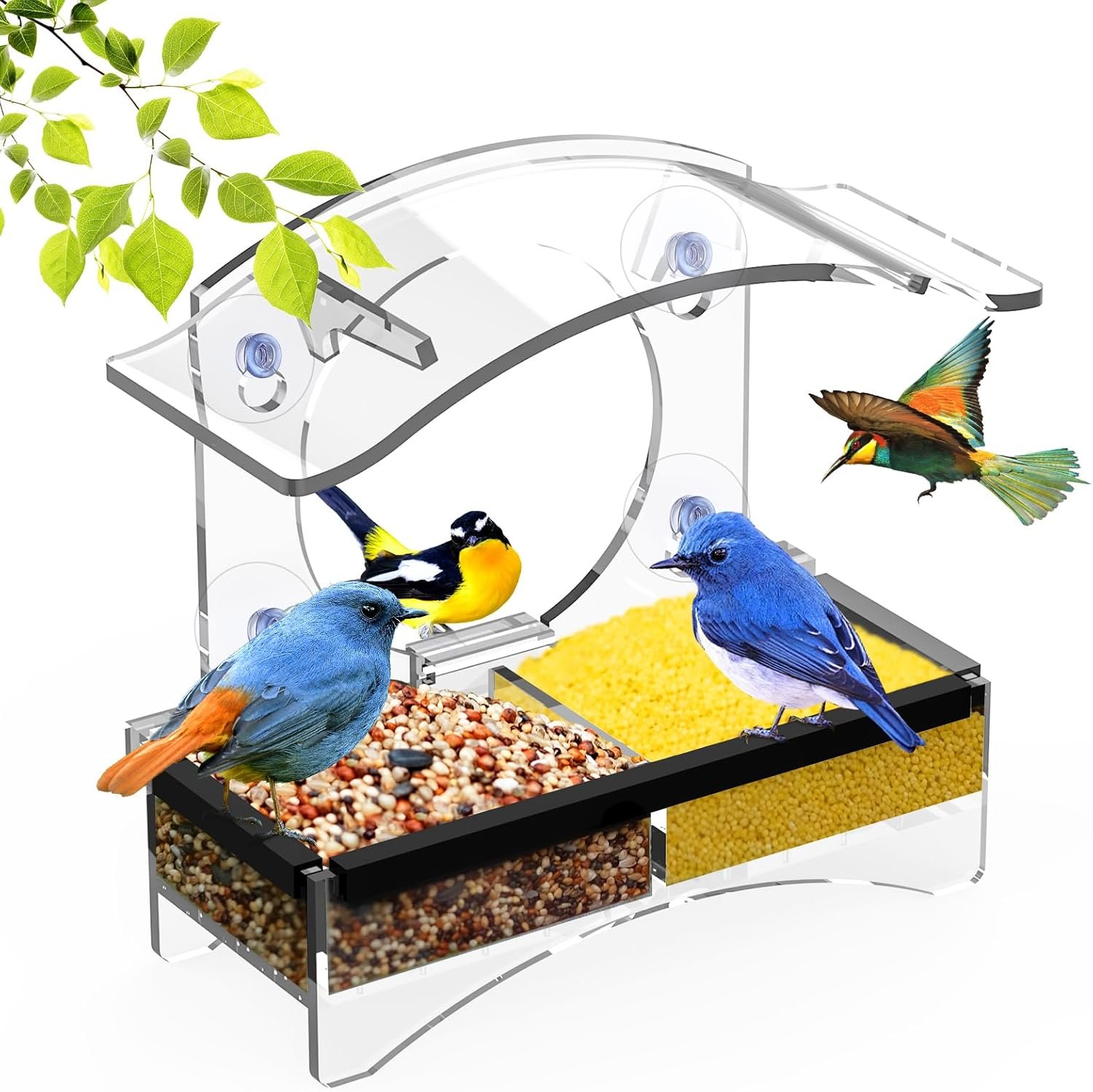 Window Bird Feeder with Strong Suction Cups – Transparent Bird House for Cat, Kids & Elderly Viewing – Polyurethane
