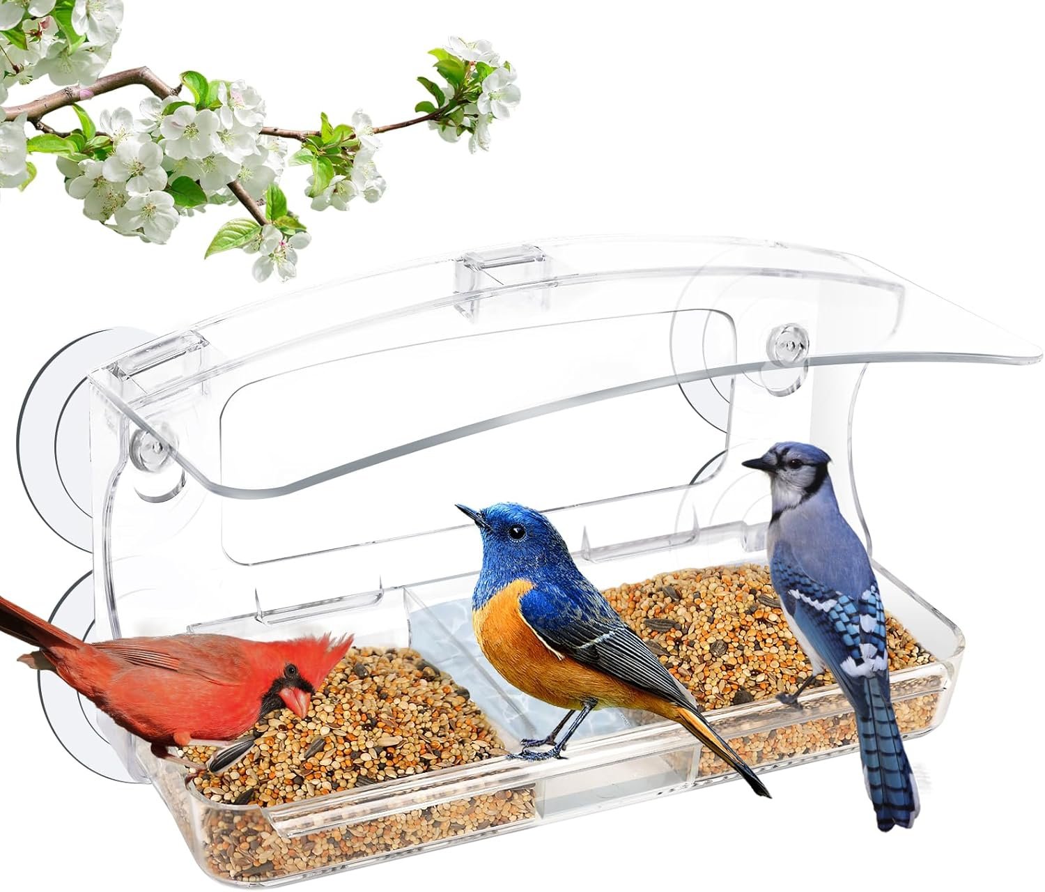 Window Bird Feeder with 4 Extra Strong 2.36” Suction Cup for Outdoors Viewing, Close-up Bird Watching Gift for Elderly Cats, Suitable for Cardinals, Finches, Bluebirds, etc.