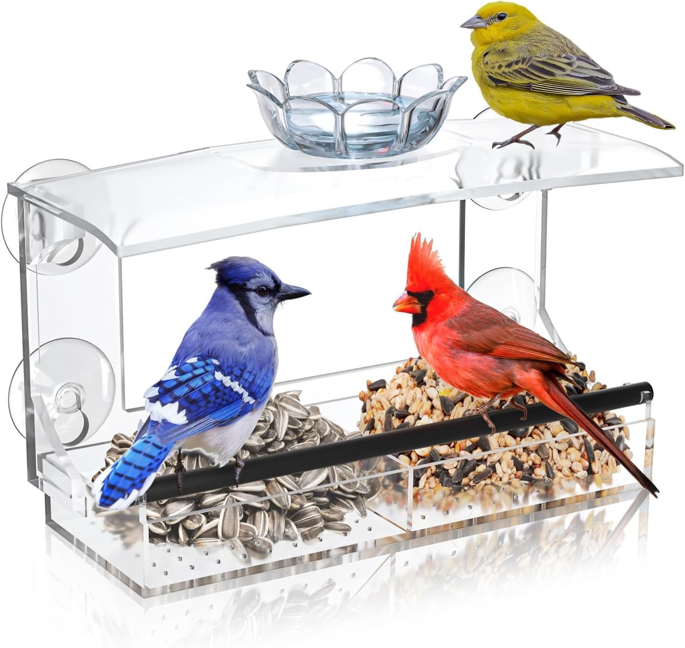 Clear Window Bird Feeder for Outdoors with Strong Suction Cups, Removable Seed Tray — Acrylic Transparent Birdhouse for Viewing Wild Birds, Ideal Outside Gardening Gifts