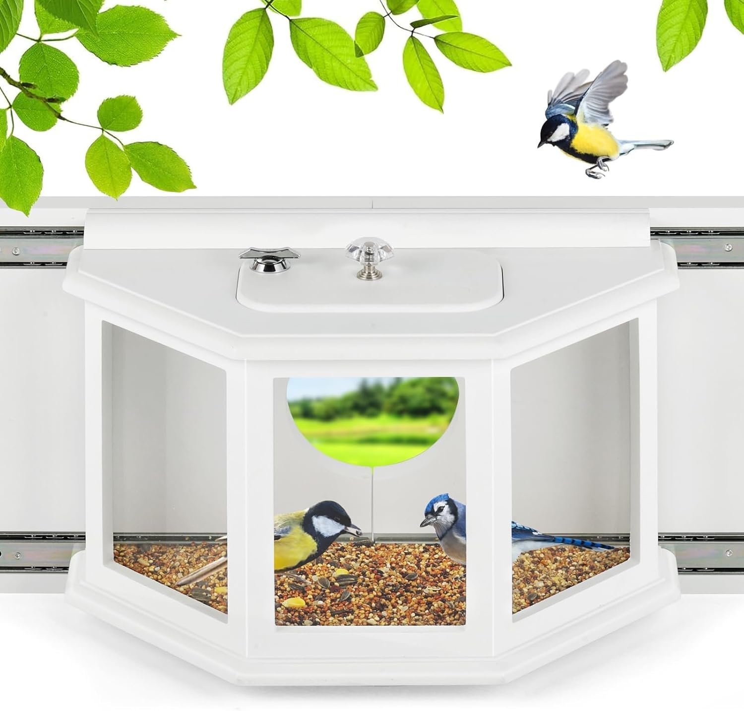 Window Bird Feeder with Secure Locker & Rail Sliding 180° Clear Design Squirrel Proof Bird Feeder for Indoor Window Viewing