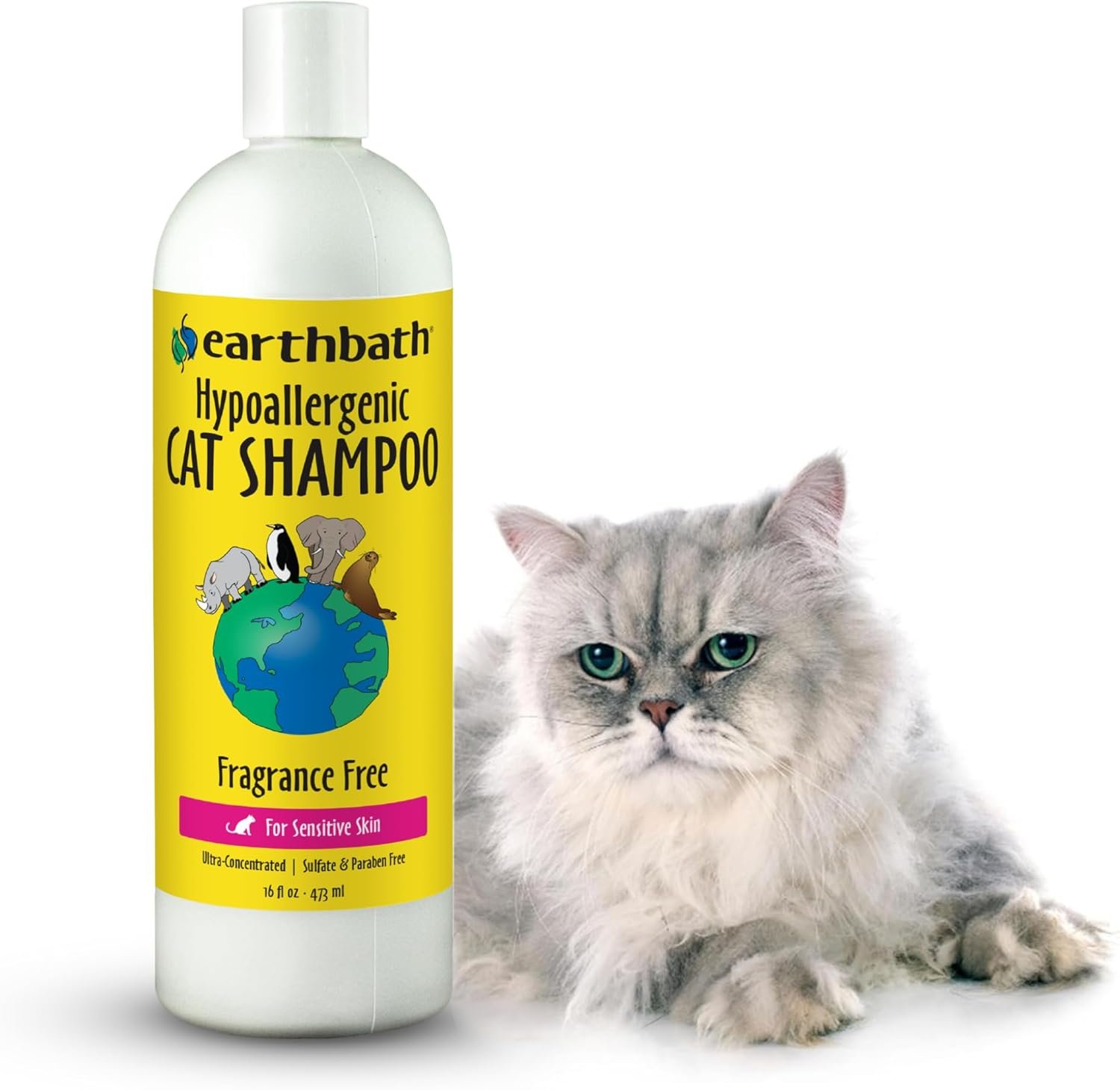 earthbath, Hypoallergenic Cat Shampoo – Fragrance Free Cat Shampoo for Allergies and Itching, Made in USA, Cruelty Free Cat Wash, Gentle & Soothing Kitty Shampoo – 16 Oz (1 Pack)