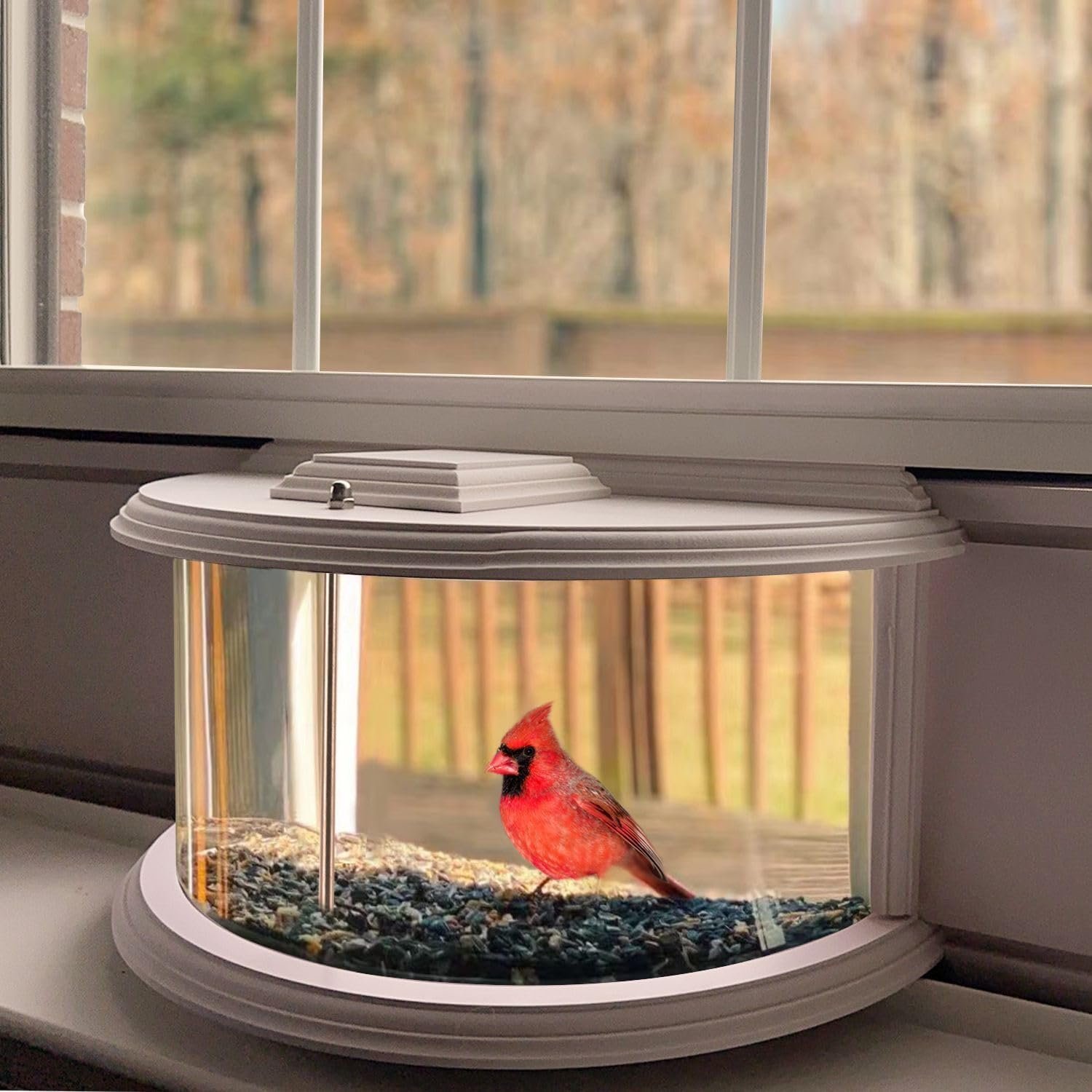 in Window Bird Feeders for Viewing – 180° Clear View Bird Feeder, Durable, Elegant, Fits Windows 27-35″ Wide, for Bird Watching-Bring Joy to Your Home