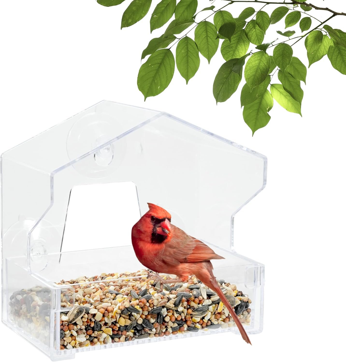 Perky-Pet Clear Outdoor Window Bird Feeder with Strong Suction Cups – 1/2 Lb Seed Capacity – Perky Pet 345 – Entertaining Bird Feeding – Watch Birds Eat Seeds