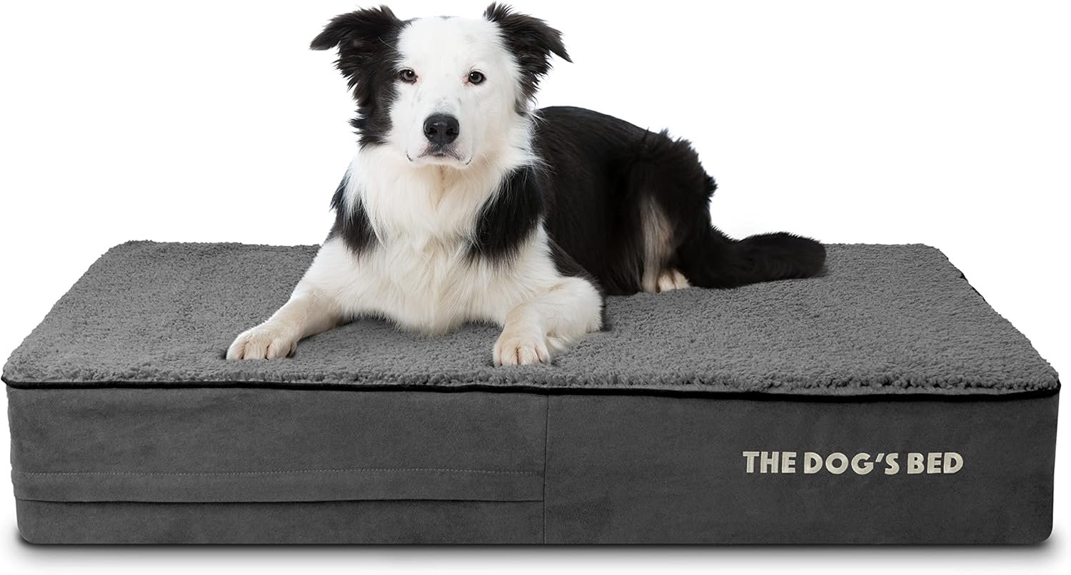 The Dog’s Bed Orthopedic Memory Foam Dog Bed for Large Dogs, Waterproof Washable Cover, Anti-Slip Base, Calming Surface – CertiPUR-Certified Foam, Grey Plush, 6 Inch Thick