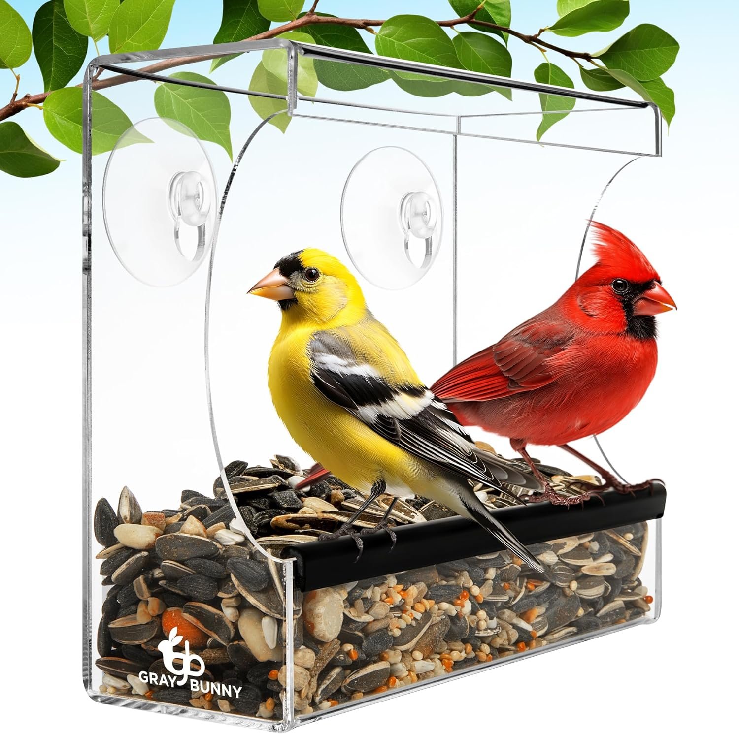 Clear Window Bird Feeder – Premium Bird Feeder for Outdoors with Strong Suction Cups with Drain Holes and Large Seed Capacity