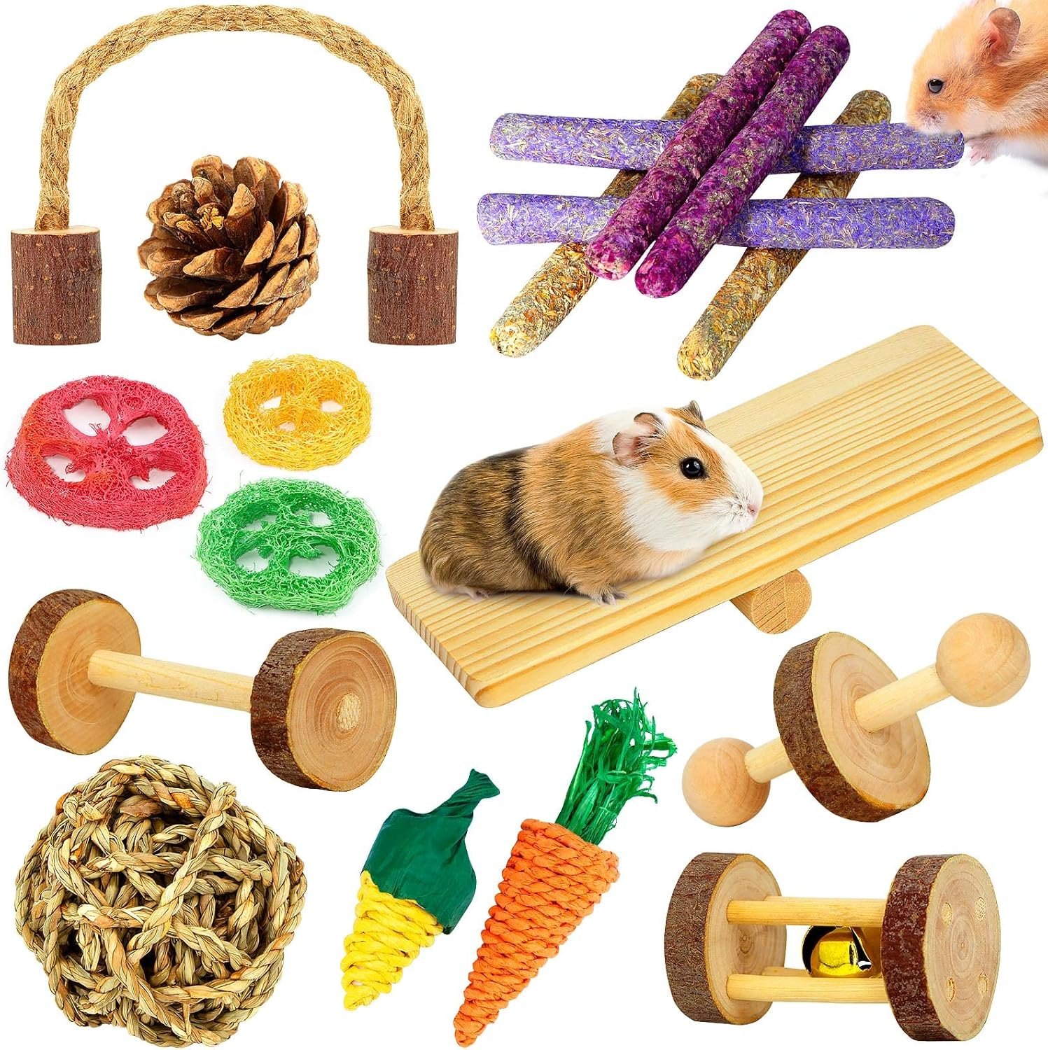 Hamster & Guinea Pig Toys – 18 Pcs Wooden Small Animal Chew Toys for Teeth – Rabbit, Chinchilla, Gerbils, Rats Exercise Accessories