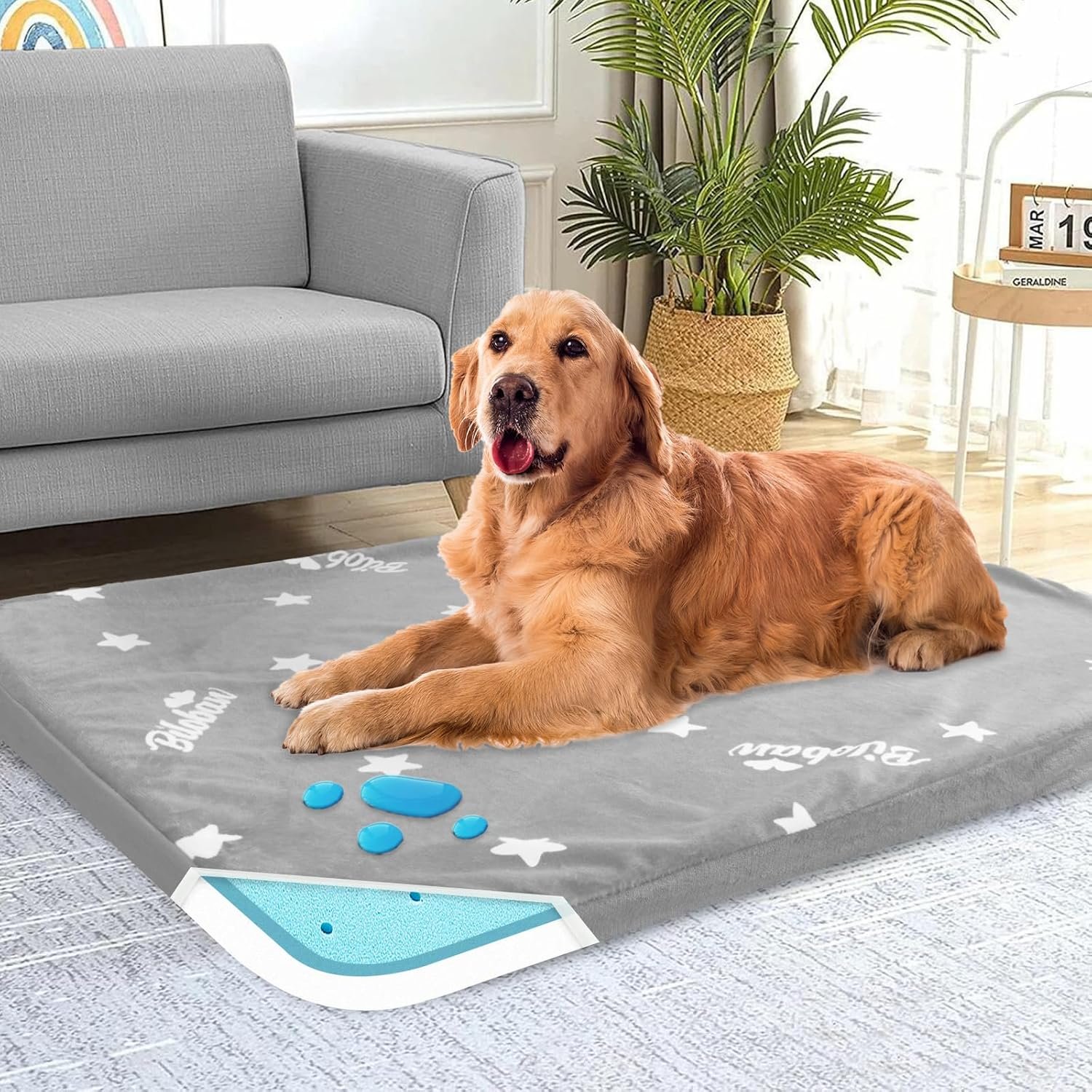 Waterproof Dog Bed for Large/Medium Dog, Memory Foam Orthopedic Dogs Beds & Furniture 38” x 26″ x 1.5″ for Large Sized Dogs with Anti-Slip & Washable Removable Cover, Soft Flannel Top Pet Beds, Grey