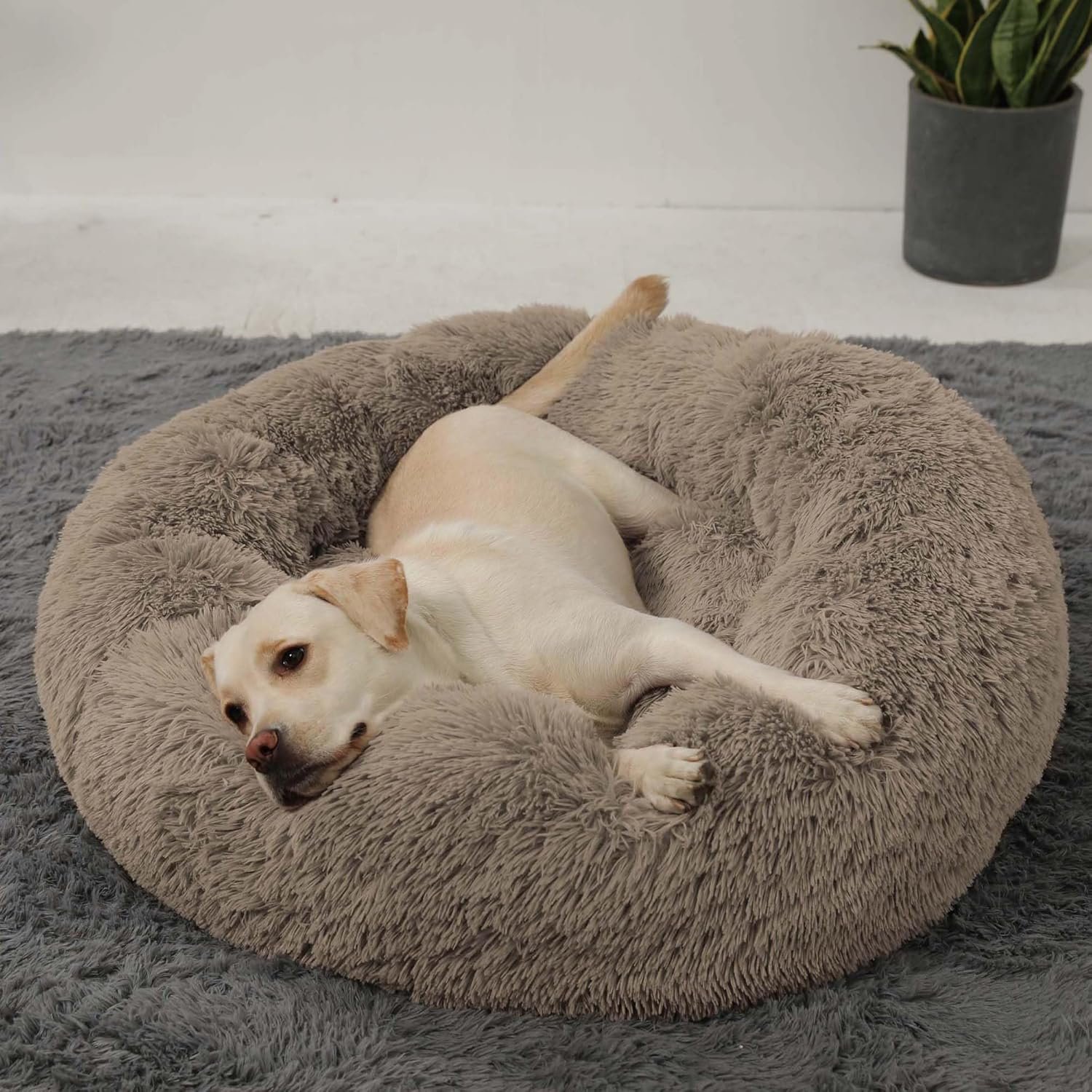 HACHIKITTY Calming Donut Cuddler Dog Bed, Round Fluffy Pet Bed with Sewn-in Cushionfor Large Dogs,Washable, Large, Taupe, 30”