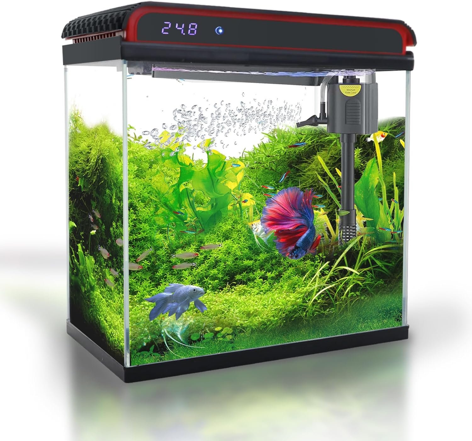 Glass 5 Gallon Fish Tank Aquarium – Smart Self-Cleaning Starter Kit with 3-Color LED Light, Ultra Quiet Pump & Filter, Temperature Monitoring for Betta Fish and Shrimp